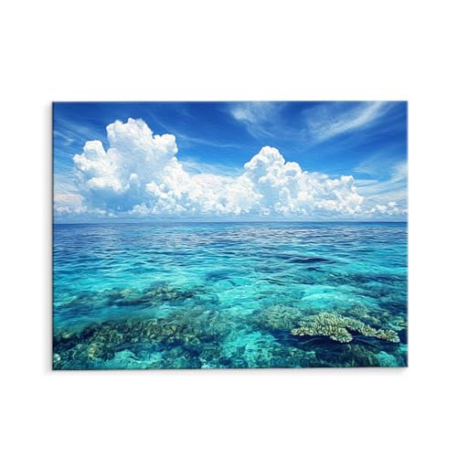 Malen Nach Zahlen Erwachsene Meer, Malen Nach Zahlen Kits mit Pinseln und Acrylfarben, DIY Ölgemälde Set Malen Basteln Leinwand Anfänger, Als Geschenk für Wanddeko, 50 x 70 cm (ungerahmt) y-127 von QIANLUOO