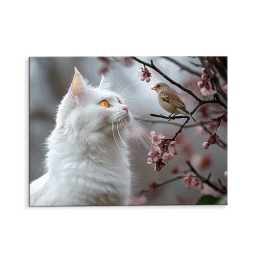 Malen Nach Zahlen Erwachsene Paint by Numbers Adults DIY Ölgemälde Leinwand Set mit 3 Pinsel und Acrylfarben für Home Weihnachten Deko Geburtstag Geschenk - 35 x 50 cm Ohne Rahmen (Weiße Katze) t-24 von QIANLUOO