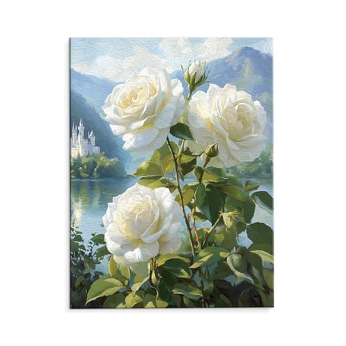 Malen Nach Zahlen Erwachsene Paint by Numbers Adults DIY Ölgemälde Leinwand Set mit 3 Pinsel und Acrylfarben für Home Weihnachten Deko Geburtstag Geschenk - 35 x 50 cm Ohne Rahmen (Weiße Rose) t-25 von QIANLUOO