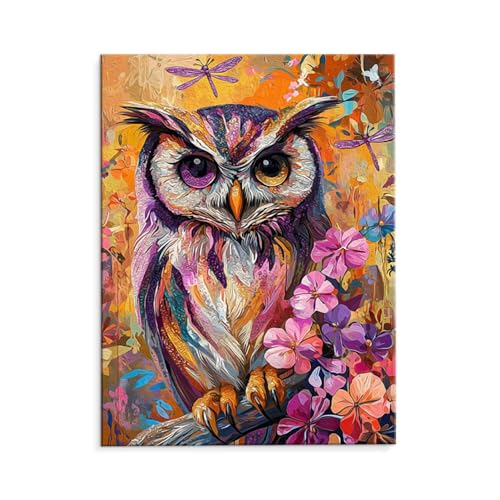 Malen Nach Zahlen Erwachsene Paint by Numbers Adults DIY Ölgemälde Leinwand Set mit 3 Pinsel und Acrylfarben für Home Weihnachten Deko Geburtstag Geschenk - 60 x 80 cm Ohne Rahmen (Farbige Eule) t-65 von QIANLUOO