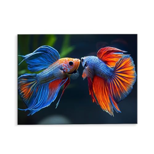 Malen Nach Zahlen Erwachsene Paint by Numbers Adults DIY Ölgemälde Leinwand Set mit 3 Pinsel und Acrylfarben für Home Weihnachten Deko Geburtstag Geschenk - 70 x 90 cm Ohne Rahmen (Fisch) t-497 von QIANLUOO