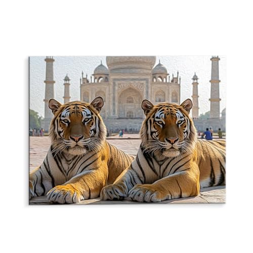 Malen Nach Zahlen Erwachsene Paint by Numbers Adults DIY Ölgemälde Leinwand Set mit 3 Pinsel und Acrylfarben für Home Weihnachten Deko Geburtstag Geschenk - 80 x 110 cm Ohne Rahmen (Der Tiger) t-581 von QIANLUOO