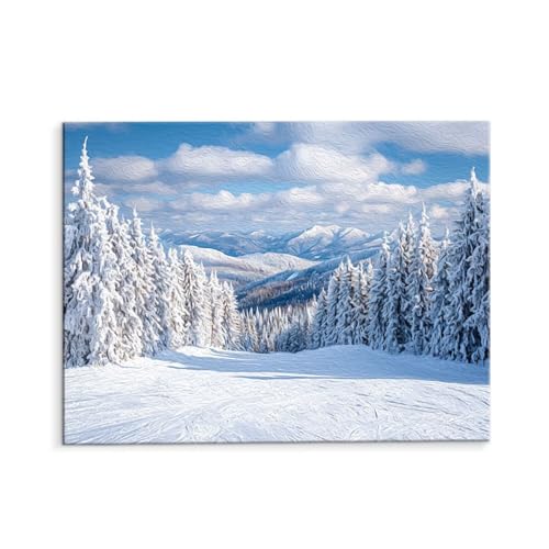 Malen Nach Zahlen Erwachsene Paint by Numbers Adults DIY Ölgemälde Leinwand Set mit 3 Pinsel und Acrylfarben für Home Weihnachten Deko Geschenk - 80 x 110 cm Ohne Rahmen (Winterlandschaft) t-145 von QIANLUOO