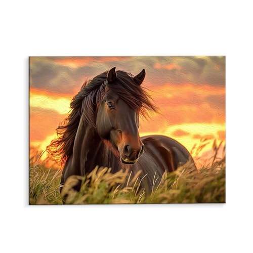 Malen Nach Zahlen Erwachsene Prairie Pferde, Malen Nach Zahlen Kits mit Pinseln und Acrylfarben, DIY Ölgemälde Set Malen Basteln Leinwand Anfänger, für Wohnzimmer Wanddeko 35 x 50 cm (ungerahmt) y-87 von QIANLUOO