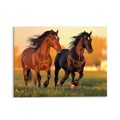 Malen Nach Zahlen Erwachsene Prairie Pferde, Malen Nach Zahlen Kits mit Pinseln und Acrylfarben, DIY Ölgemälde Set Malen Basteln Leinwand Anfänger, für Wohnzimmer Wanddeko 60 x 80 cm (ungerahmt) y-86 von QIANLUOO