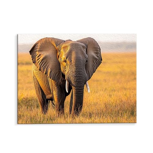 Malen Nach Zahlen Erwachsene Savane Elefanten, Malen Nach Zahlen Kits mit Pinseln und Acrylfarben, DIY Ölgemälde Set Malen Basteln Leinwand Anfänger, für Wohnzimmer Wanddeko 30 x 40 cm (ungerahmt) y83 Malen Nach Zahlen Erwachsene Savane Elefanten, Malen Nach Zahlen Kits mit Pinseln und Acrylfarben, DIY Ölgemälde Set Malen Basteln Leinwand Anfänger, für Wohnzimmer Wanddeko 30 x 40 cm (ungerahmt) y83 von QIANLUOO