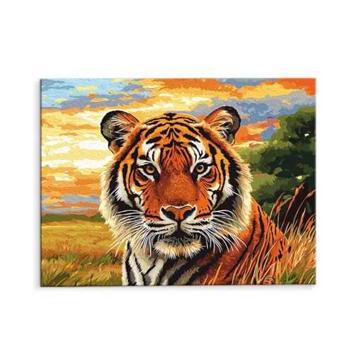 Malen Nach Zahlen Erwachsene Tiger Tiere, Malen Nach Zahlen Kits mit Pinseln und Acrylfarben, DIY Ölgemälde Set Malen Basteln Leinwand Anfänger, Als Geschenk für Wanddeko, 60 x 80 cm (ungerahmt) y-583 von QIANLUOO