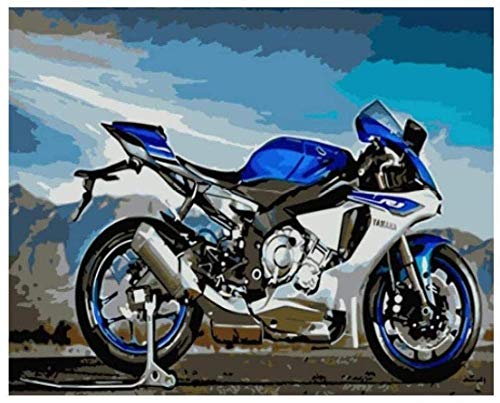 QIAOYUE Malen nach Zahlen für Erwachsene und Kinder malen Wohnzimmer Schlafzimmer Küche Dekoration Leinwand -Blaues Motorrad Stillleben 40X50Cm (Rahmenlos) von QIAOYUE
