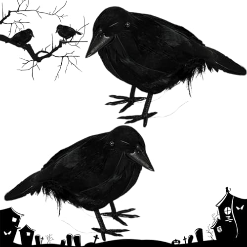 2 Stück Krähe Halloween,Rabe Halloween,Schwarzer Rabe Deko,Halloween Krähe Dekorationen,Halloween Krähen Requisite,Realistische Feder Krähen für Halloween Deko Garten Gruselig,Halloween Horror Party 2 Stück Krähe Halloween,Rabe Halloween,Schwarzer Rabe Deko,Halloween Krähe Dekorationen,Halloween Krähen Requisite,Realistische Feder Krähen für Halloween Deko Garten Gruselig,Halloween Horror Party von QIMMU