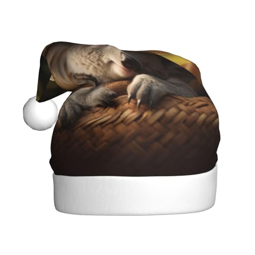 QIN&ZHENG Schlafende Koala-Kappe, bedruckt, personalisierbar, lustige Weihnachtsgeschenke für Frauen, Erwachsene, Samt-Plüsch-Weihnachtsmütze von QIN&ZHENG
