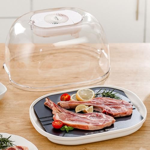 Frozen Meat Thawing Machine, Non-Stick Kitchen Natural Taste Heating Defroster Tray 360 Allround Thawing, Circulating Cooling System, USB Quick Defrosting Tray For Meat, Seafood, Vegetable von QINPI