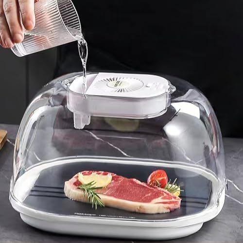 Home Fresh-Keeping Auftaumaschine, Schnelle Fleischauftauplatte, Wiederaufladbare Auftaumaschine, 3D zirkulierender Wind Auftauen Abnehmbare Küche Auftauen Große Kapazität für Schweinefleisch Rind von QINPI