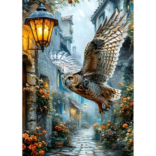 QINRUBB DIY Eule Diamond Painting Erwachsene, 5D Bote Eule Diamant Painting Bilder Anfänger, Alte Straße Runder Vollbohrer Diamant Kunst Kits Kreuzstich Geschenke Home Wand Dekor 30x40 cm von QINRUBB