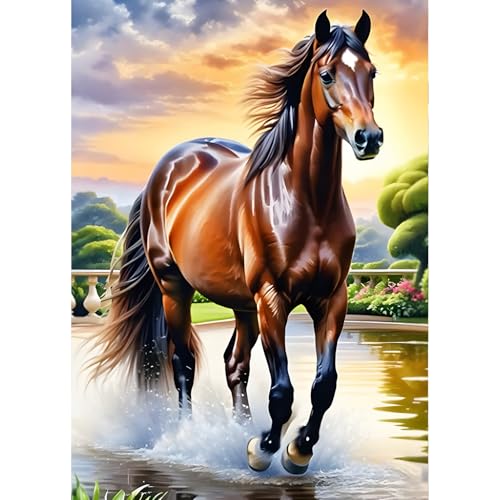 QINRUBB DIY Laufendes Pferd Diamant Painting Bilder Anfänger, 5D Sonnenuntergang Diamond Painting Erwachsene, Runder Vollbohrer Pferd Diamant Kunst Kits Kreuzstich Home Wand Dekor 30x40 cm QINRUBB DIY Laufendes Pferd Diamant Painting Bilder Anfänger, 5D Sonnenuntergang Diamond Painting Erwachsene, Runder Vollbohrer Pferd Diamant Kunst Kits Kreuzstich Home Wand Dekor 30x40 cm von QINRUBB