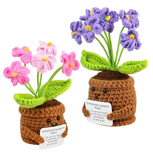 QITIXI:OU Pocket Hug Positive Blume, 2er Blumen Gehäkelt Puppen - Mini Positive Gehäkelte Kreative Blumen Geschenk für Beste Freund & Lehrer & Kollegen zum Abschied, Geburtstag & Abschluss QITIXI:OU Pocket Hug Positive Blume, 2er Blumen Gehäkelt Puppen - Mini Positive Gehäkelte Kreative Blumen Geschenk für Beste Freund & Lehrer & Kollegen zum Abschied, Geburtstag & Abschluss von QITIXI:OU