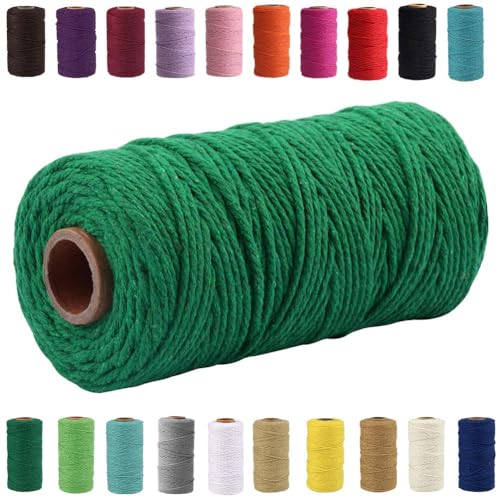 QIYIG Makramee-Seil, 3 mm x 100 m, Baumwolle, handgefertigt, natürliche Baumwollkordel, Makramee-Schnur zum Aufhängen, DIY, Geschenkverpackung (Grün) von QIYIG