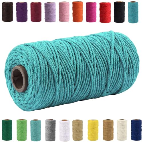 QIYIG Makramee-Schnur, 3 mm x 100 m, Baumwolle, handgefertigt, natürliche Baumwollschnur, Makramee-Schnur zum Aufhängen an der Wand, DIY, Geschenkverpackung, hellblau (1 Rolle) von QIYIG