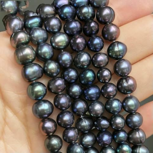 7–8 mm natürliche schwarze Süßwasserperlen, runde, lose Abstandsperlen, Perlen zur Schmuckherstellung, DIY-Armbandzubehör, 15 Zoll – Standard 7–8 mm natürliche schwarze Süßwasserperlen, runde, lose Abstandsperlen, Perlen zur Schmuckherstellung, DIY-Armbandzubehör, 15 Zoll – Standard von QPFNEI
