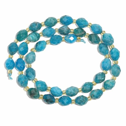 AAA 8 x 7 mm facettierter natürlicher Apatit, Citrin, Lapislazuli, Prehnit, Edelsteinperlen, lose Perlen zur Schmuckherstellung, DIY-Zubehör-Apatit-15 von QPFNEI