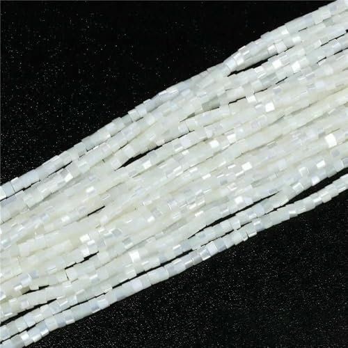 Bunte, natürliche Süßwasser-Muschelperlen, Röhrenperlen, gefärbte Perlmutt-Muschel, lose Perlen zur Schmuckherstellung, DIY-Armband, Halskette, 38,1 cm – 28,9 cm, Abstandshalter 3 x 2 mm Bunte, natürliche Süßwasser-Muschelperlen, Röhrenperlen, gefärbte Perlmutt-Muschel, lose Perlen zur Schmuckherstellung, DIY-Armband, Halskette, 38,1 cm – 28,9 cm, Abstandshalter 3 x 2 mm von QPFNEI