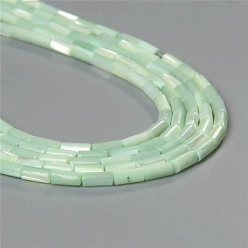 Bunte natürliche Süßwasser-Muschelperlen, Rondelle-Abstandshalter, gefärbte Perlmutt-Muschel, lose Perlen zur Schmuckherstellung, 7,5 Zoll – 2 Stück, 4 x 8 mm Bunte natürliche Süßwasser-Muschelperlen, Rondelle-Abstandshalter, gefärbte Perlmutt-Muschel, lose Perlen zur Schmuckherstellung, 7,5 Zoll – 2 Stück, 4 x 8 mm von QPFNEI