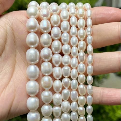 Natürliche Süßwasserperlen, unregelmäßige Form, lose Perlen zur Schmuckherstellung, DIY-Halskette, Armband, Reisperle AA, 5–6 mm von QPFNEI
