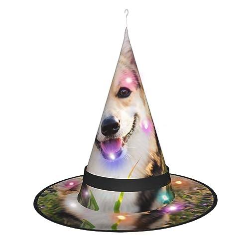QQLADY 2 Stück Hexenhüte glücklich Corgi Hund Frauen Halloween LED Lichter Hexen Hüte Hängende Zauberer Hut Dekor Beleuchtete Hexenhüte von QQLADY