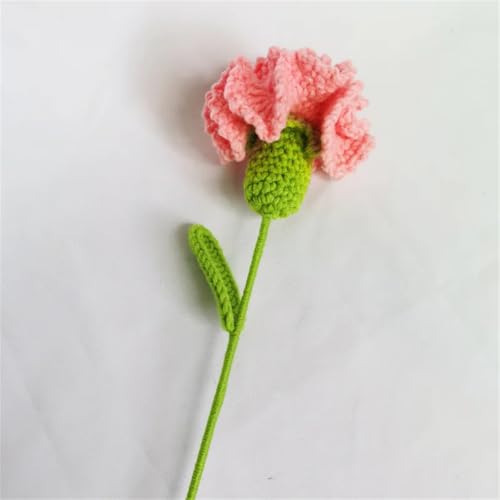 QQNQQ Häkelblume, Häkelpflanzen, handgemachter Strickblumenstrauß, handgehäkelte Kunstblumen for Muttertag(Light Pinrk Carnation) von QQNQQ