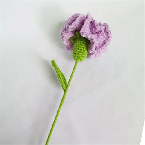QQNQQ Häkelblume, Häkelpflanzen, handgemachter Strickblumenstrauß, handgehäkelte Kunstblumen for Muttertag(Select Colour Name) von QQNQQ