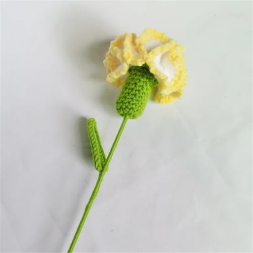 QQNQQ Häkelblume, Häkelpflanzen, handgemachter Strickblumenstrauß, handgehäkelte Kunstblumen for Muttertag(White Yellow Carnati) von QQNQQ