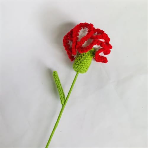 QQNQQ Häkelblume, Häkelpflanzen, handgemachter Strickblumenstrauß, handgehäkelte Kunstblumen for Muttertag(White and Red Carnat) von QQNQQ