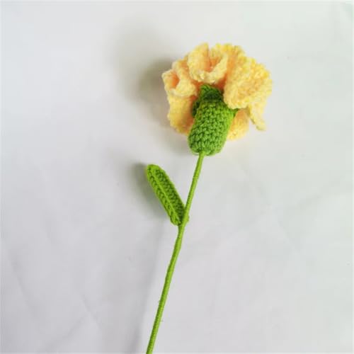 QQNQQ Häkelblume, Häkelpflanzen, handgemachter Strickblumenstrauß, handgehäkelte Kunstblumen for Muttertag(Yellow Carnation) von QQNQQ