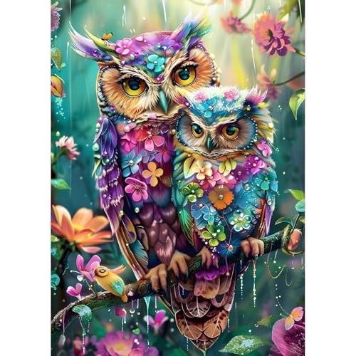 QQYRHN 5D Bunte Eule Diamond Painting Kit für Erwachsene Anfänger Liebe der Mutter Diamant Kunst Kits Vollständiges DIY Blumen Diamantstickerei-Set Perfekt zur Entspannung und Dekoration 30x40 cm von QQYRHN