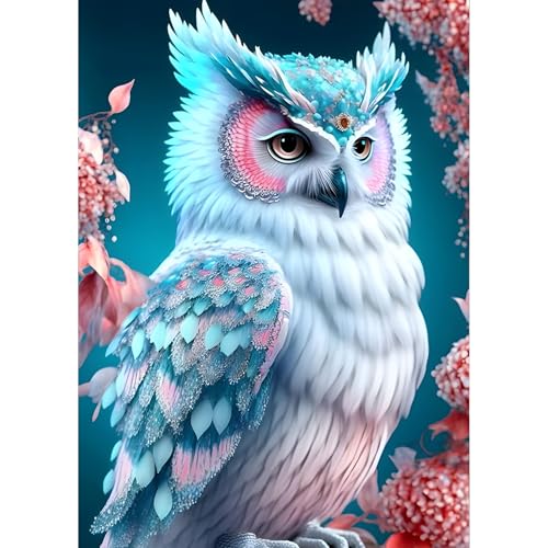 QQYRHN 5D Fantasie Eule Diamond Painting Kit für Erwachsene Anfänger Eule Diamant Kunst Kits Vollständiges DIY Traumland Diamantstickerei-Set Perfekt zur Entspannung und Dekoration 30x40 cm von QQYRHN