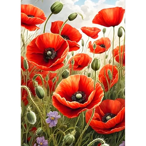 QQYRHN 5D Mohnblumen Diamond Painting Kit für Erwachsene Anfänger Landschaft Diamant Kunst Kits Vollständiges DIY Wildblumen Diamantstickerei-Set Perfekt zur Entspannung und Dekor 30x40 cm von QQYRHN