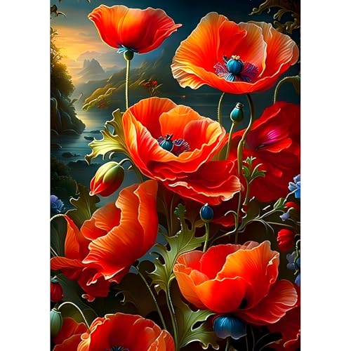 QQYRHN 5D Mohnblumen Diamond Painting Kit für Erwachsene Anfänger Rote Blumen Diamant Kunst Kits Vollständiges DIY Landschaft Diamantstickerei-Set Perfekt zur Entspannung und Dekor 30x40 cm QQYRHN 5D Mohnblumen Diamond Painting Kit für Erwachsene Anfänger Rote Blumen Diamant Kunst Kits Vollständiges DIY Landschaft Diamantstickerei-Set Perfekt zur Entspannung und Dekor 30x40 cm von QQYRHN