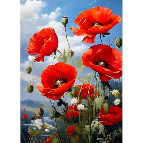 QQYRHN 5D Mohnblumen Diamond Painting Kit für Erwachsene Anfänger Rote Blumen Diamant Kunst Kits Vollständiges DIY Landschaft Diamantstickerei-Set Perfekt zur Entspannung und Dekoration 30x40 cm von QQYRHN