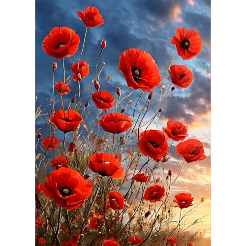 QQYRHN 5D Mohnblumen Diamond Painting Kit für Erwachsene Anfänger Rote Blumen Diamant Kunst Kits Vollständiges DIY Sonnenuntergang Diamantstickerei-Set Perfekt zur Entspannung und Dekor 30x40 cm QQYRHN 5D Mohnblumen Diamond Painting Kit für Erwachsene Anfänger Rote Blumen Diamant Kunst Kits Vollständiges DIY Sonnenuntergang Diamantstickerei-Set Perfekt zur Entspannung und Dekor 30x40 cm von QQYRHN