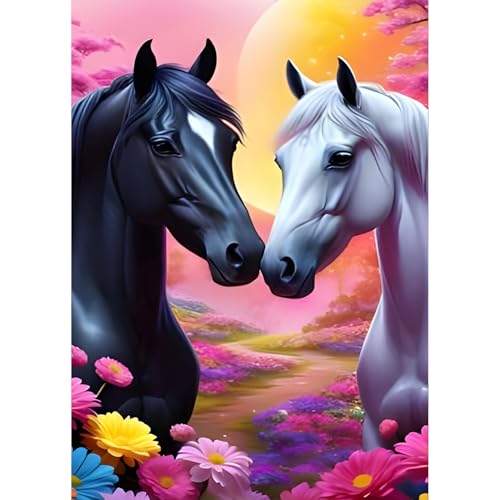 QQYRHN 5D Zwei Pferde Diamond Painting Kit für Erwachsene Anfänger Traumland Diamant Kunst Kits Vollständiges DIY Liebespaar Diamantstickerei-Set Perfekt zur Entspannung und Dekoration 30x40 cm von QQYRHN