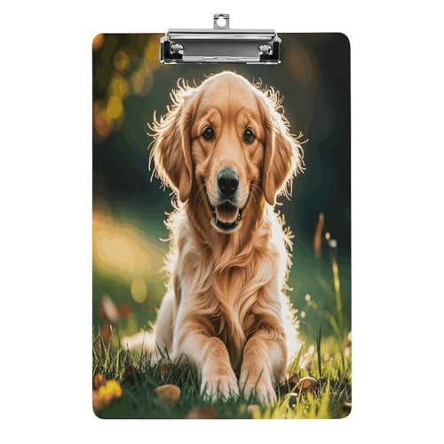 Acryl-Klemmbrett, 32,5 x 21,6 cm, transparent, hält 100 Blatt, lustiger Golden Retriever-Druck, flaches Profil-Clip für Büro, Restaurant Acryl-Klemmbrett, 32,5 x 21,6 cm, transparent, hält 100 Blatt, lustiger Golden Retriever-Druck, flaches Profil-Clip für Büro, Restaurant von QSKDLAC