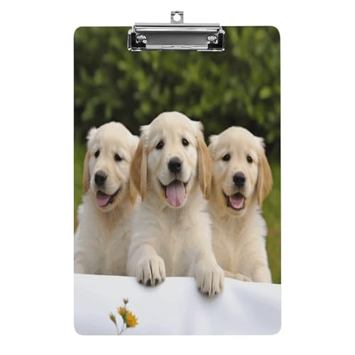 Acryl-Klemmbrett, 32,5 x 21,6 cm, transparent, hält 100 Blatt, lustiger Golden Retriever Welpen, Druck, flaches Profil-Clip für Büro, Restaurant Acryl-Klemmbrett, 32,5 x 21,6 cm, transparent, hält 100 Blatt, lustiger Golden Retriever Welpen, Druck, flaches Profil-Clip für Büro, Restaurant von QSKDLAC
