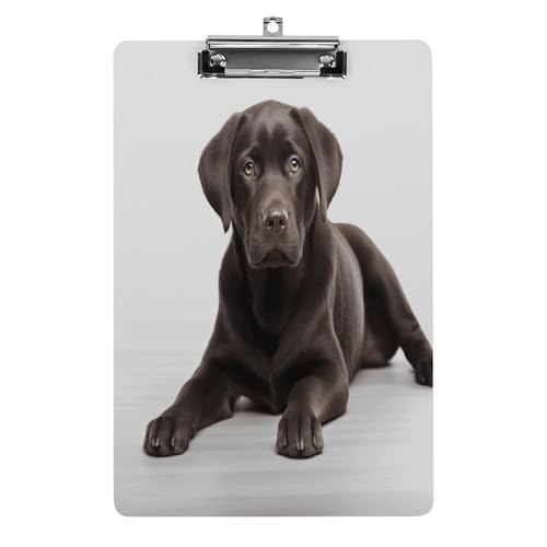 Acryl-Klemmbrett, 32,5 x 21,6 cm, transparent, hält 100 Blatt, lustiger Hundedruck, flaches Profil, Clip für Büro, Restaurant Acryl-Klemmbrett, 32,5 x 21,6 cm, transparent, hält 100 Blatt, lustiger Hundedruck, flaches Profil, Clip für Büro, Restaurant von QSKDLAC