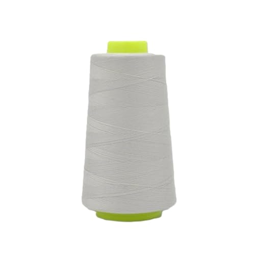 Overlockgarn 3000 Yard – Stärke 120 – 100 % Polyester – Reißfest & Farbecht – Für Overlock und Coverlock – 1 Kone – 30 Farben verfügbar – Nähgarn für alle Näharbeiten (610 silver grey) von QT