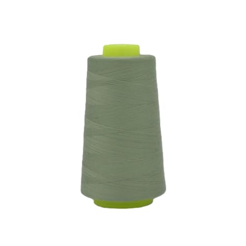 Overlockgarn | 3000 yard/Kone | Stärke 120, Garn für Overlock-Nähmaschinen (210 dusty mint) von QT