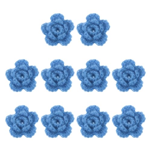 QUARKZMAN 10 Stück Blumen Aufnäher, 50mm Häkelblumen Blumenstickerei Applikationen Verzierungen für DIY Haare Hüte Kleidung Hochzeit Dekor Handwerk, Seeblau von QUARKZMAN