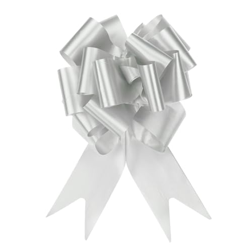 QUARKZMAN 10 Stück Geschenk Schleife mit Geschenkbänder Große Ziehschleife 15cm Geschenkschleife Schleifenband Dekoration für Geschenkverpackung Hochzeit Auto Geburtstag, Silber QUARKZMAN 10 Stück Geschenk Schleife mit Geschenkbänder Große Ziehschleife 15cm Geschenkschleife Schleifenband Dekoration für Geschenkverpackung Hochzeit Auto Geburtstag, Silber von QUARKZMAN