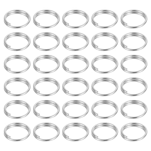 QUARKZMAN 100 Stück 8mm Doppelte Schleifen-Sprengringe, Runde Sprung-Ring-Verbinder, Kleiner vernickelter kleiner Schlüsselanhänger-Ringteil für DIY-Bastelarbeiten, Silber QUARKZMAN 100 Stück 8mm Doppelte Schleifen-Sprengringe, Runde Sprung-Ring-Verbinder, Kleiner vernickelter kleiner Schlüsselanhänger-Ringteil für DIY-Bastelarbeiten, Silber von QUARKZMAN