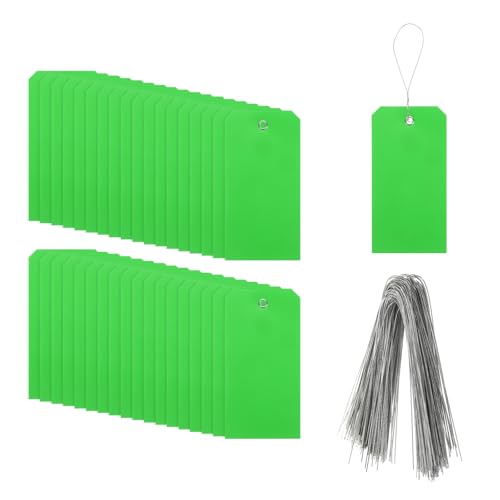QUARKZMAN 100 Stück Markierungsetiketten mit Schnur, 6,3" x 3,1" Wasserdichte Anhängeetiketten aus rechteckigem Kunststoff mit Schreibfläche für Outdoor-Gepäckkleidung, Grün QUARKZMAN 100 Stück Markierungsetiketten mit Schnur, 6,3" x 3,1" Wasserdichte Anhängeetiketten aus rechteckigem Kunststoff mit Schreibfläche für Outdoor-Gepäckkleidung, Grün von QUARKZMAN