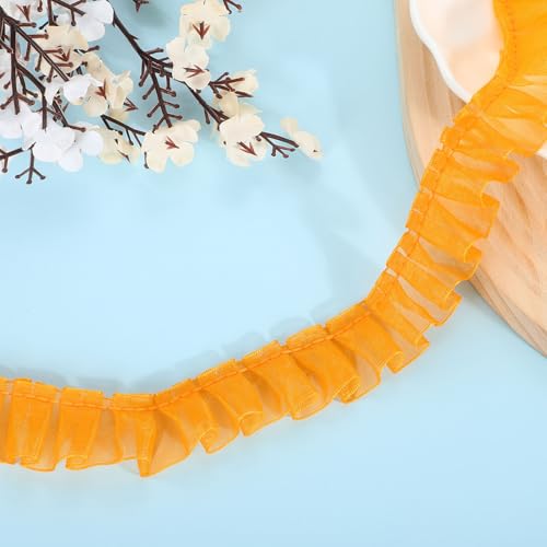 QUARKZMAN 11 Yards Rüschen Spitzenband 2,5 cm/1" Plissierte Organza Spitzenkante Band Nähen Spitze Stoffband für DIY Handwerk Kleidung Hochzeit Geschenk Heimdekoration, Hellorange QUARKZMAN 11 Yards Rüschen Spitzenband 2,5 cm/1" Plissierte Organza Spitzenkante Band Nähen Spitze Stoffband für DIY Handwerk Kleidung Hochzeit Geschenk Heimdekoration, Hellorange von QUARKZMAN