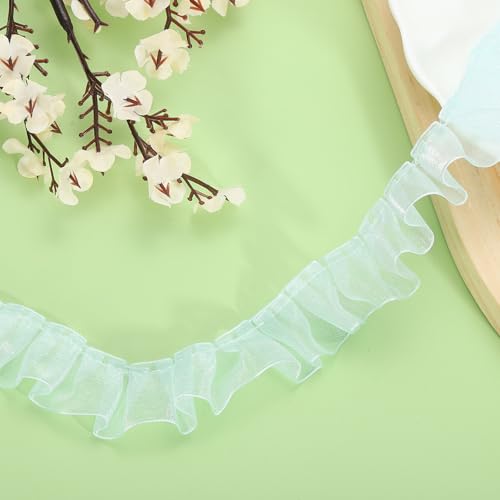 QUARKZMAN 11 Yards Rüschen Spitzenband 2,5 cm/1" Plissierte Organza Spitzenkante Band Nähen Spitzenstoff Band für DIY Handwerk Kleidung Hochzeit Geschenk Heimdekoration, Hellgrün QUARKZMAN 11 Yards Rüschen Spitzenband 2,5 cm/1" Plissierte Organza Spitzenkante Band Nähen Spitzenstoff Band für DIY Handwerk Kleidung Hochzeit Geschenk Heimdekoration, Hellgrün von QUARKZMAN